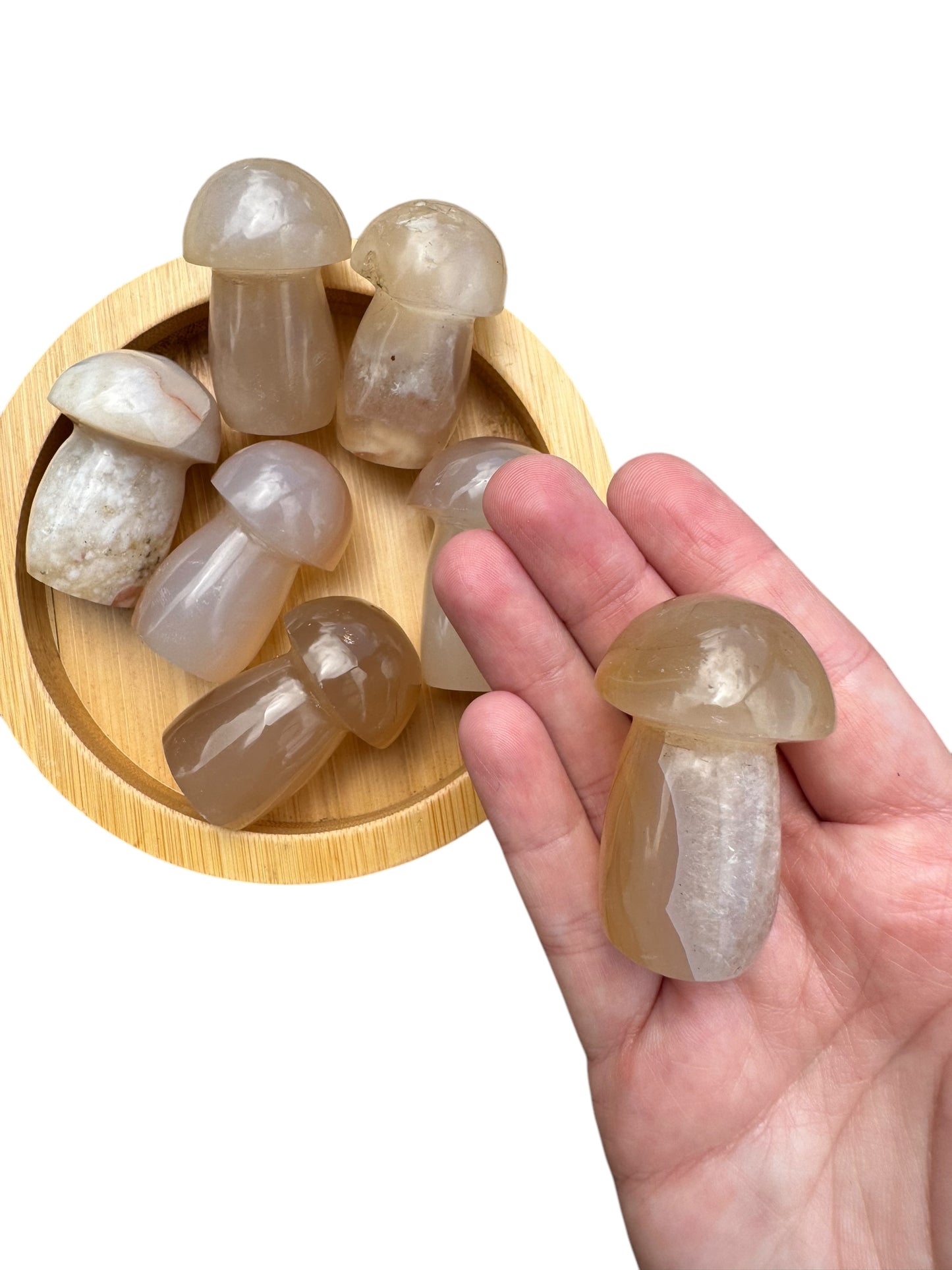 Flower Agate Mushroom