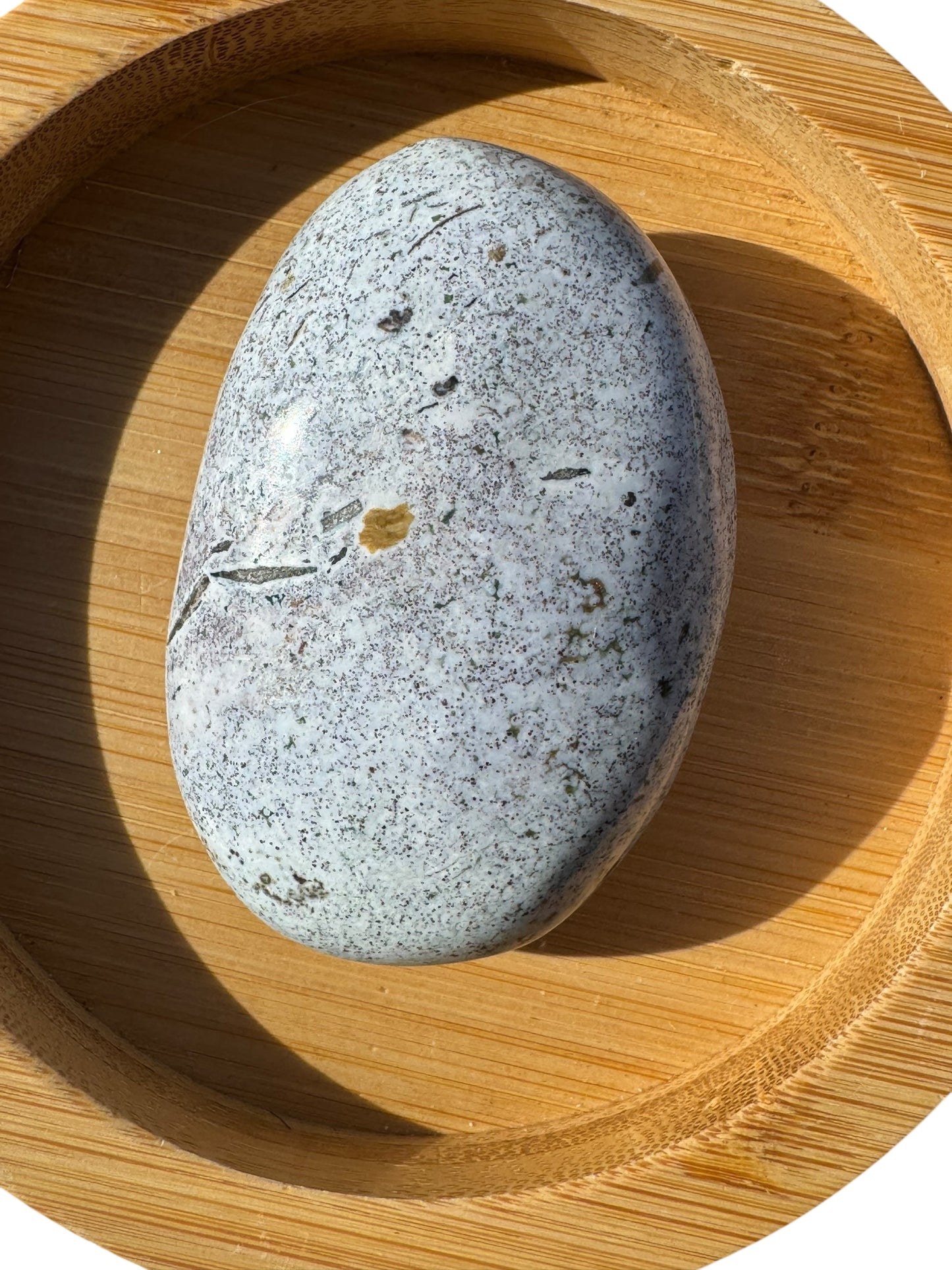 Ocean Jasper Palmstone (200)