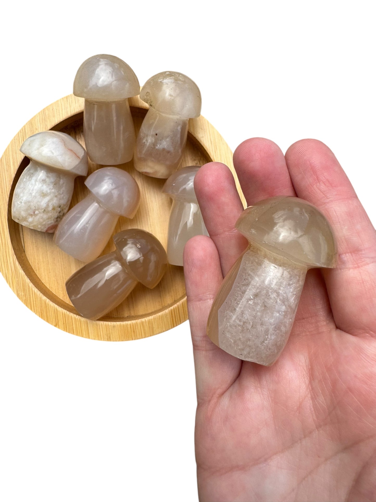 Flower Agate Mushroom
