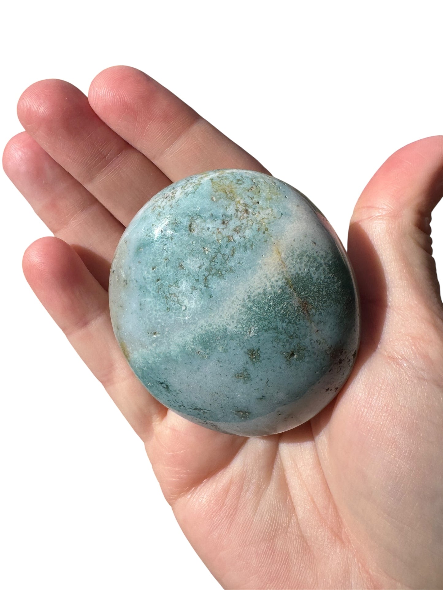 Ocean Jasper Palmstone (198)