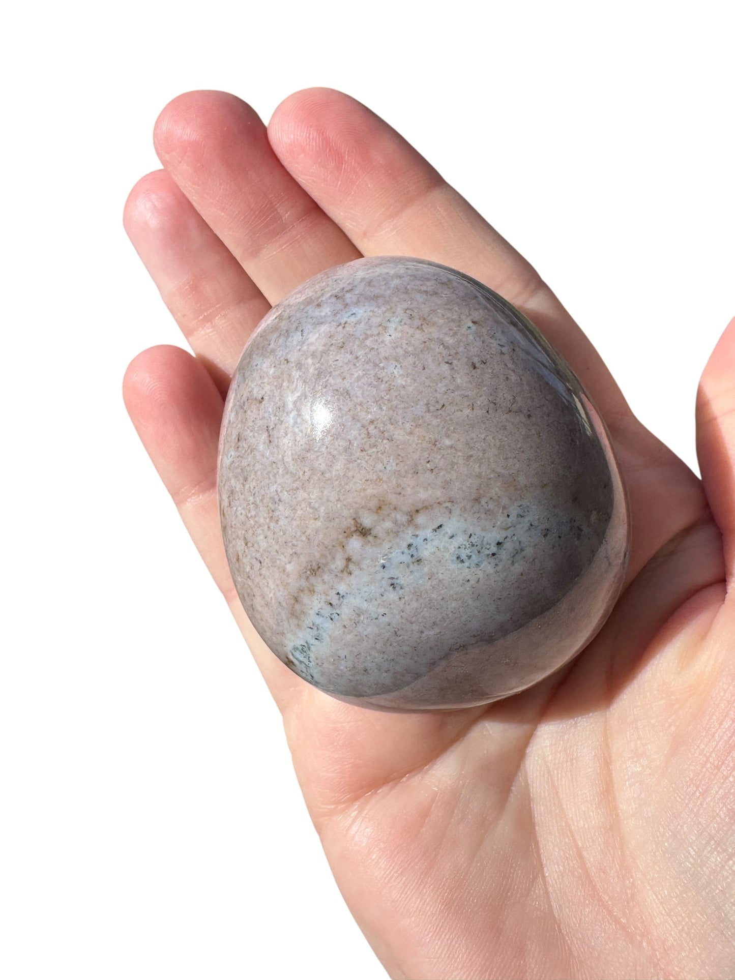 Ocean Jasper Palmstone (202)