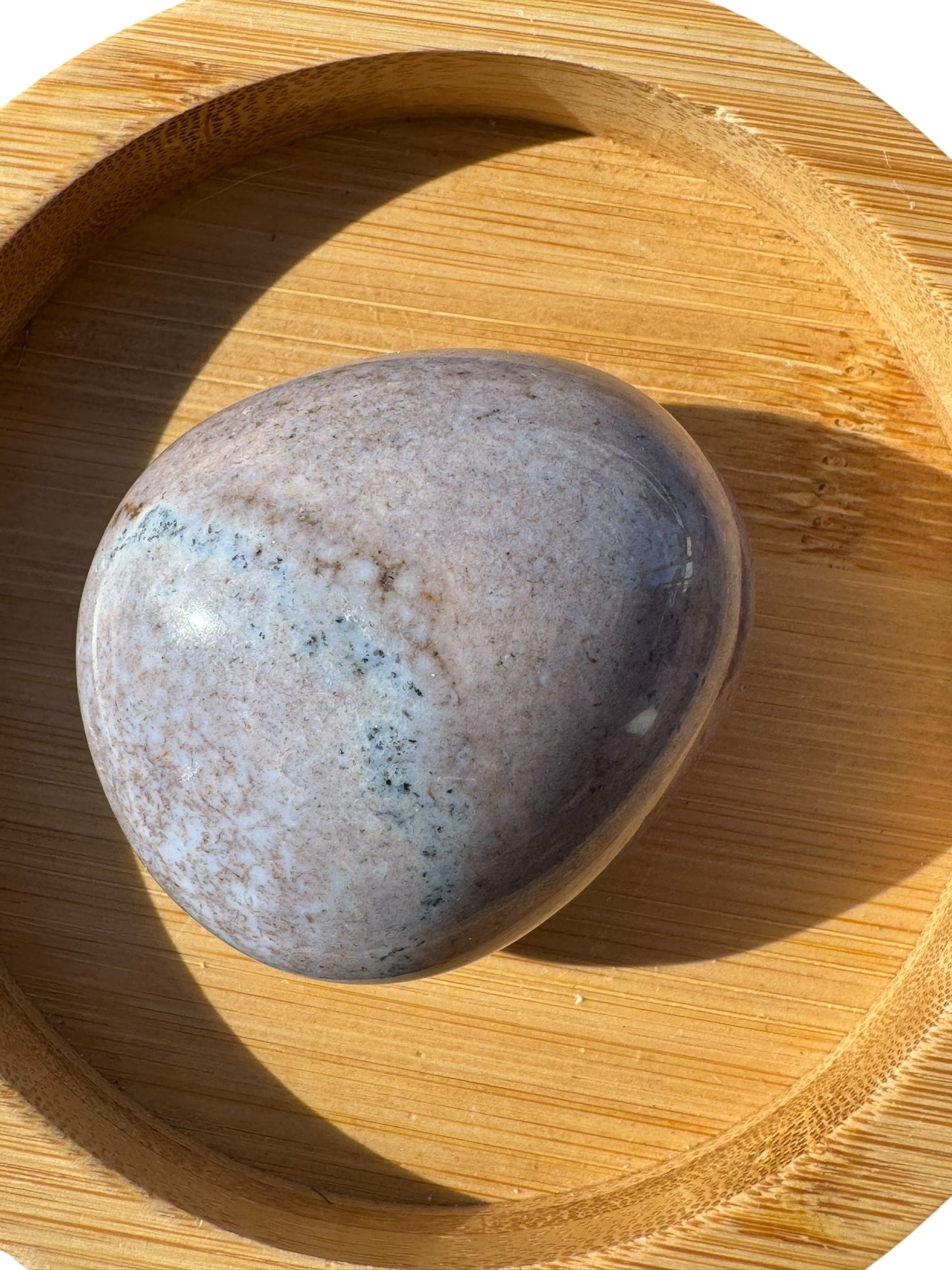 Ocean Jasper Palmstone (202)