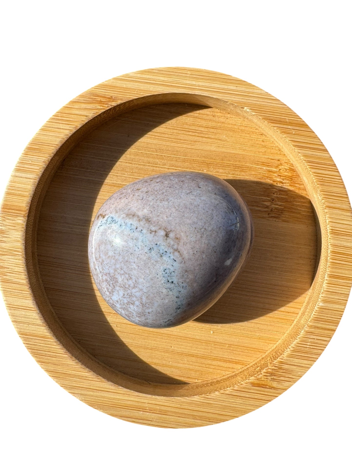 Ocean Jasper Palmstone (202)