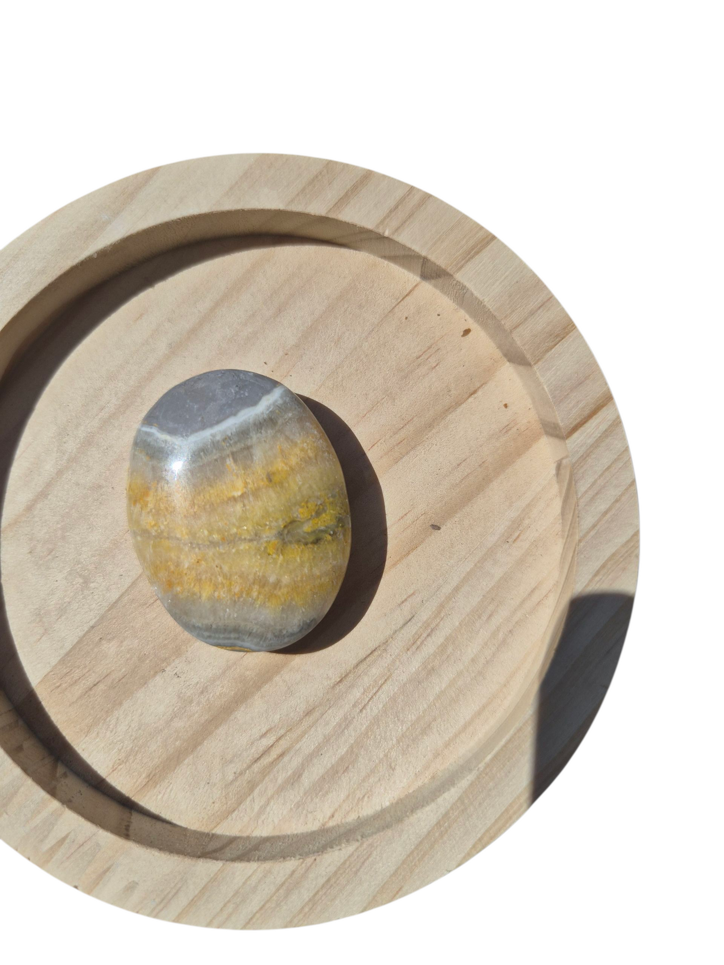 Bumblebee Jasper Palmstone