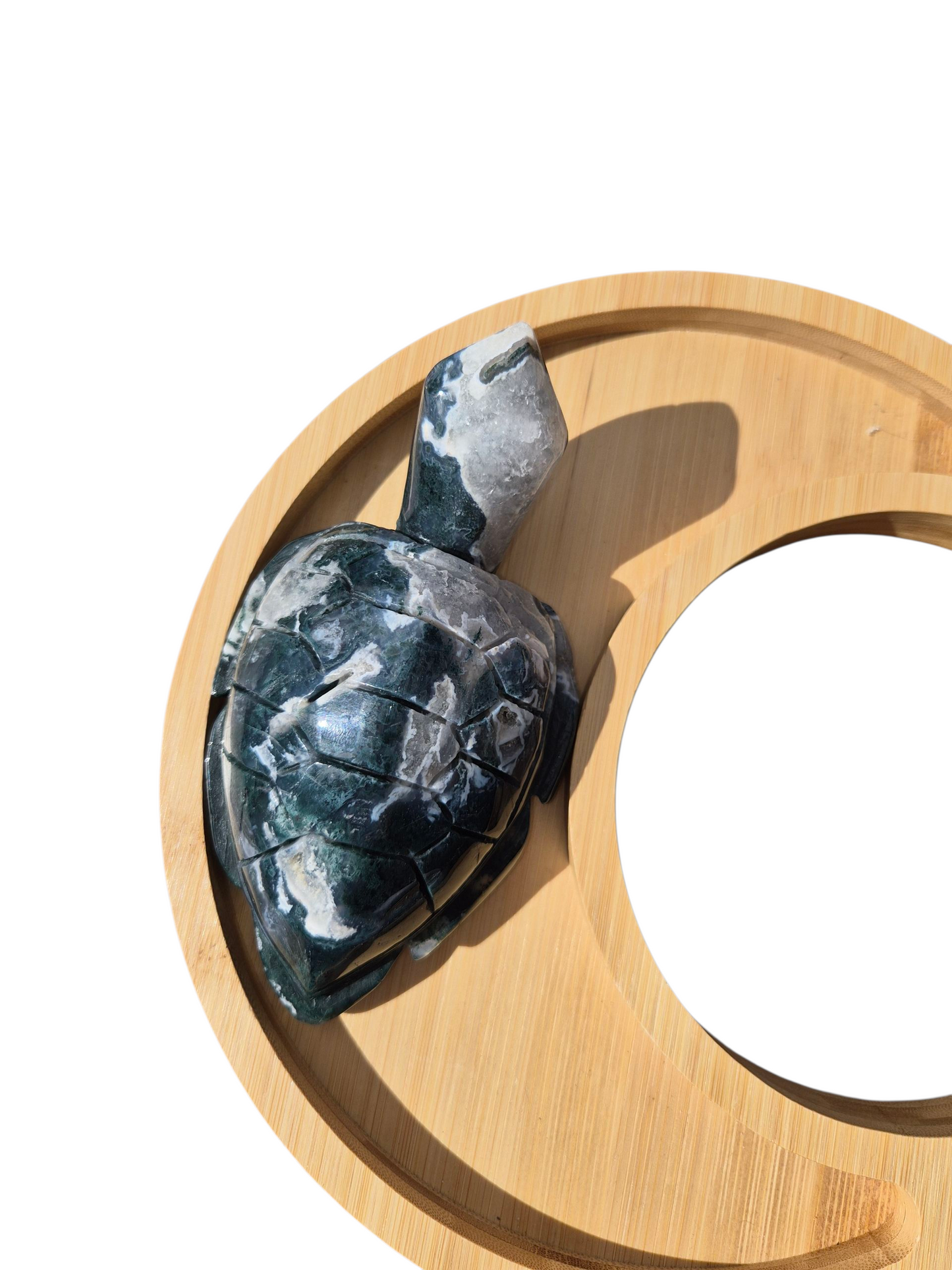 Moss Agate Turtle