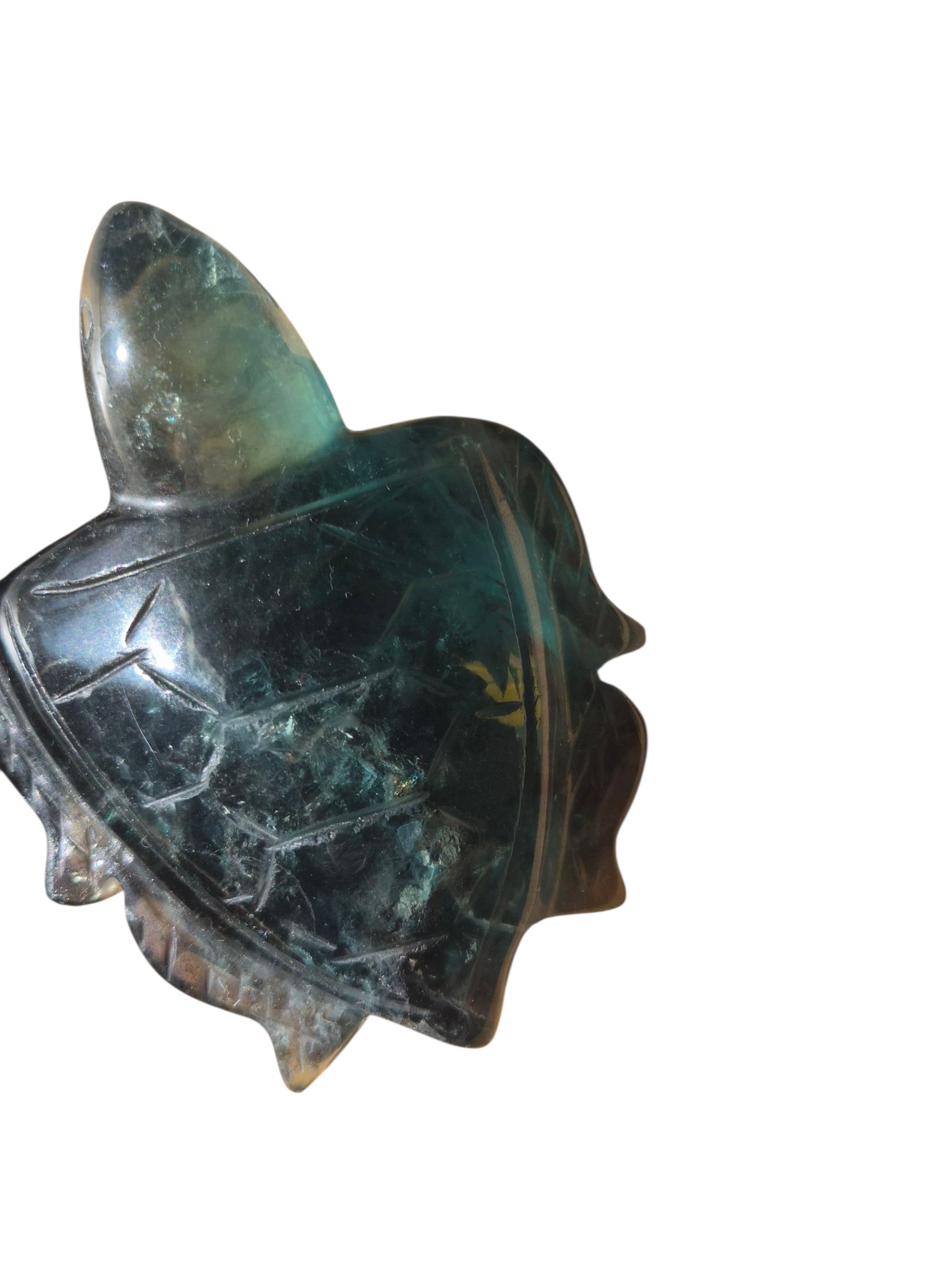 Fluorite Turtle (Green)