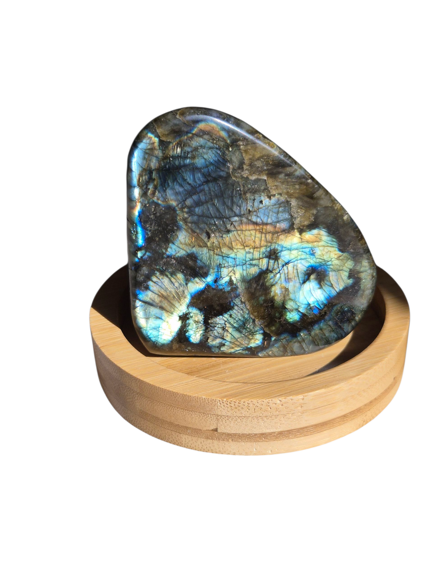 Labradorite Freeform 667