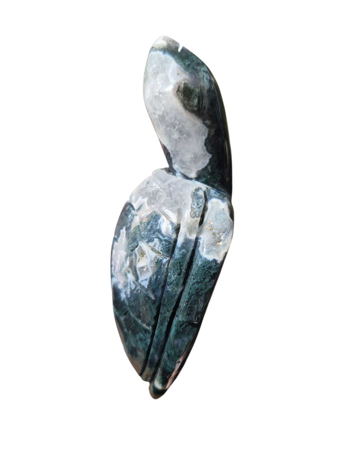 Moss Agate Turtle