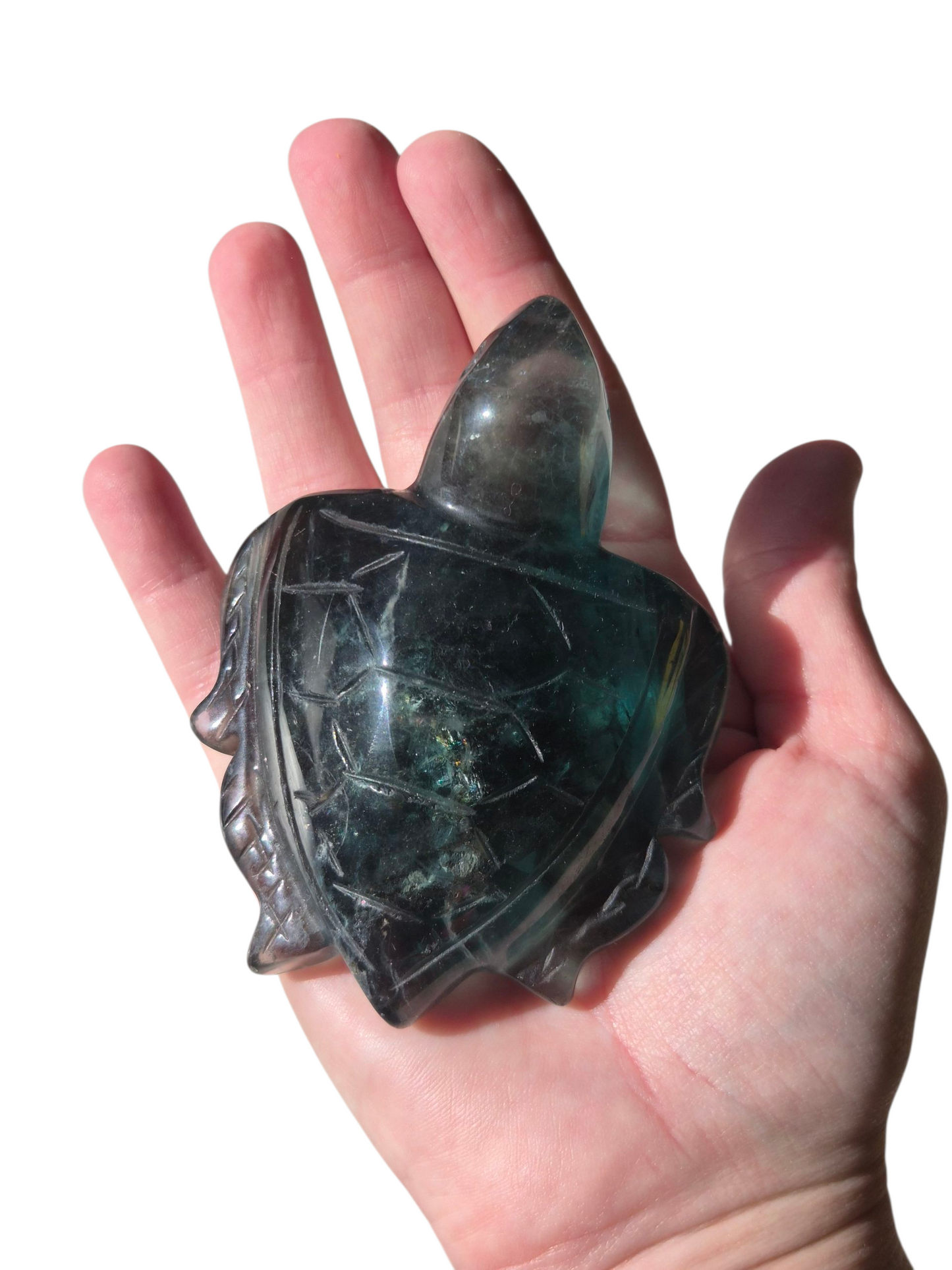 Fluorite Turtle (Green)