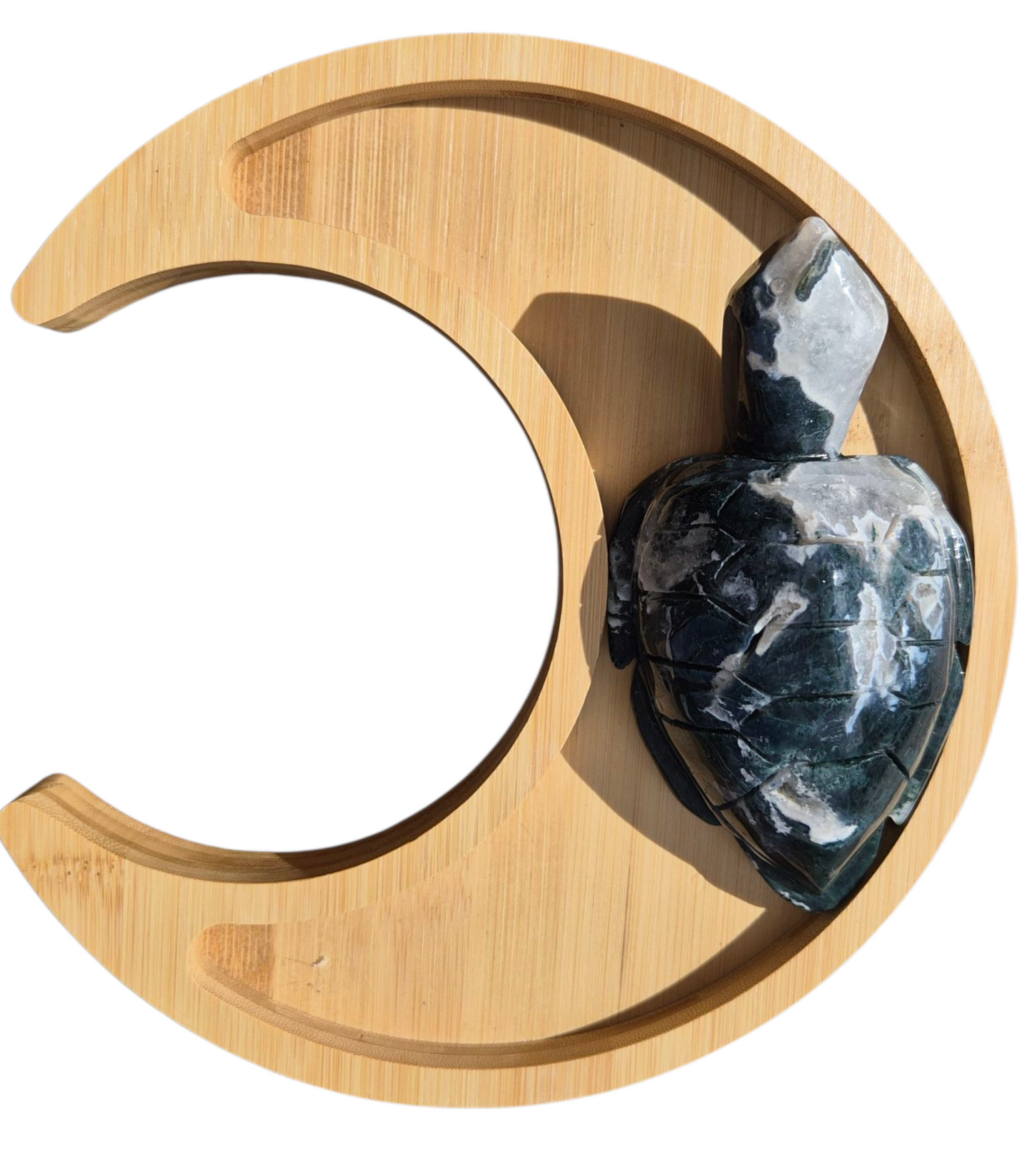 Moss Agate Turtle
