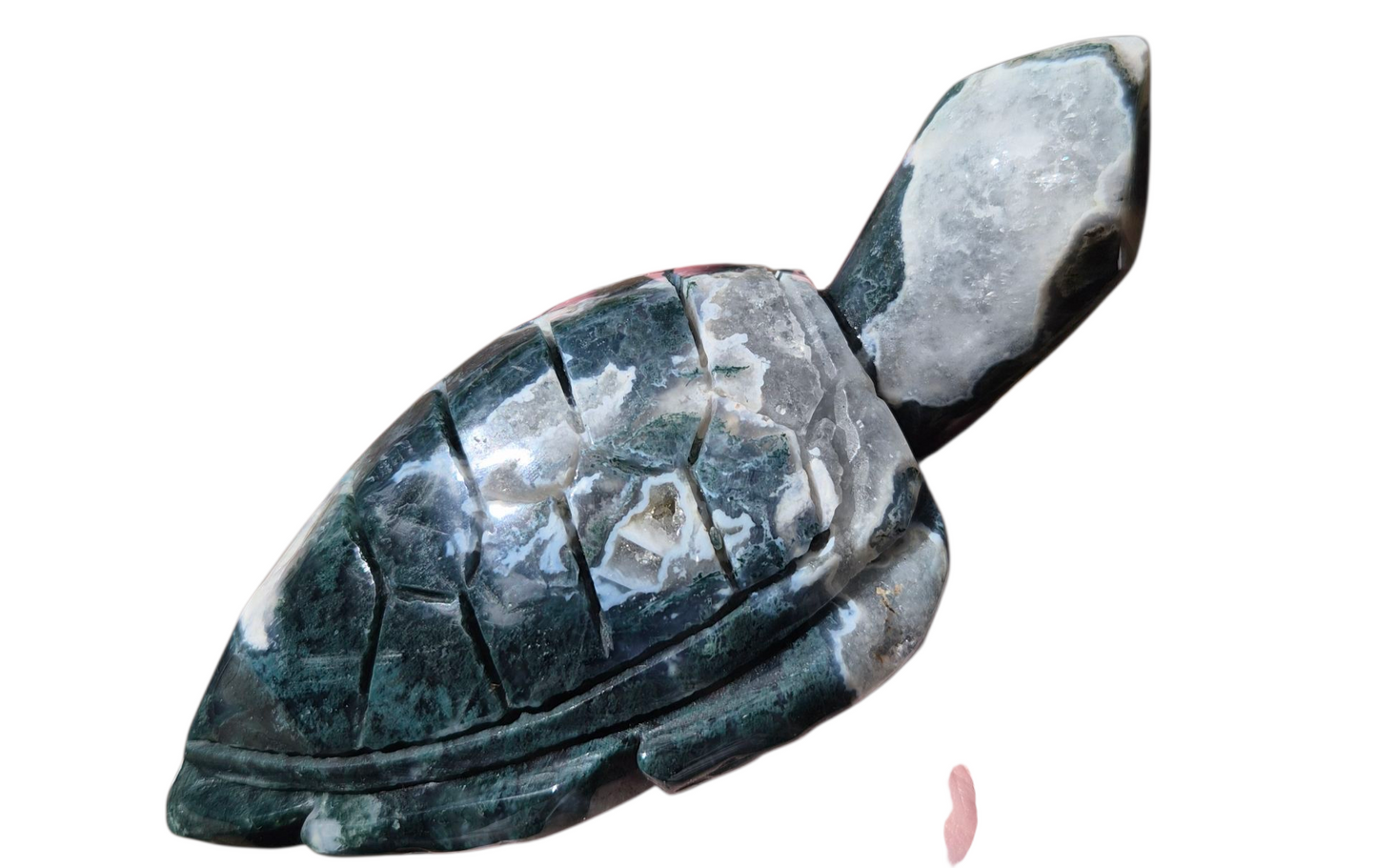 Moss Agate Turtle