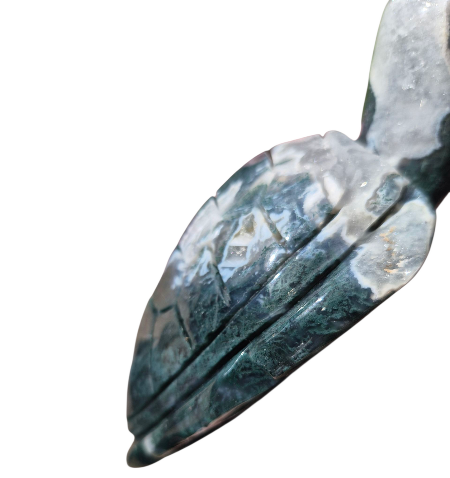 Moss Agate Turtle