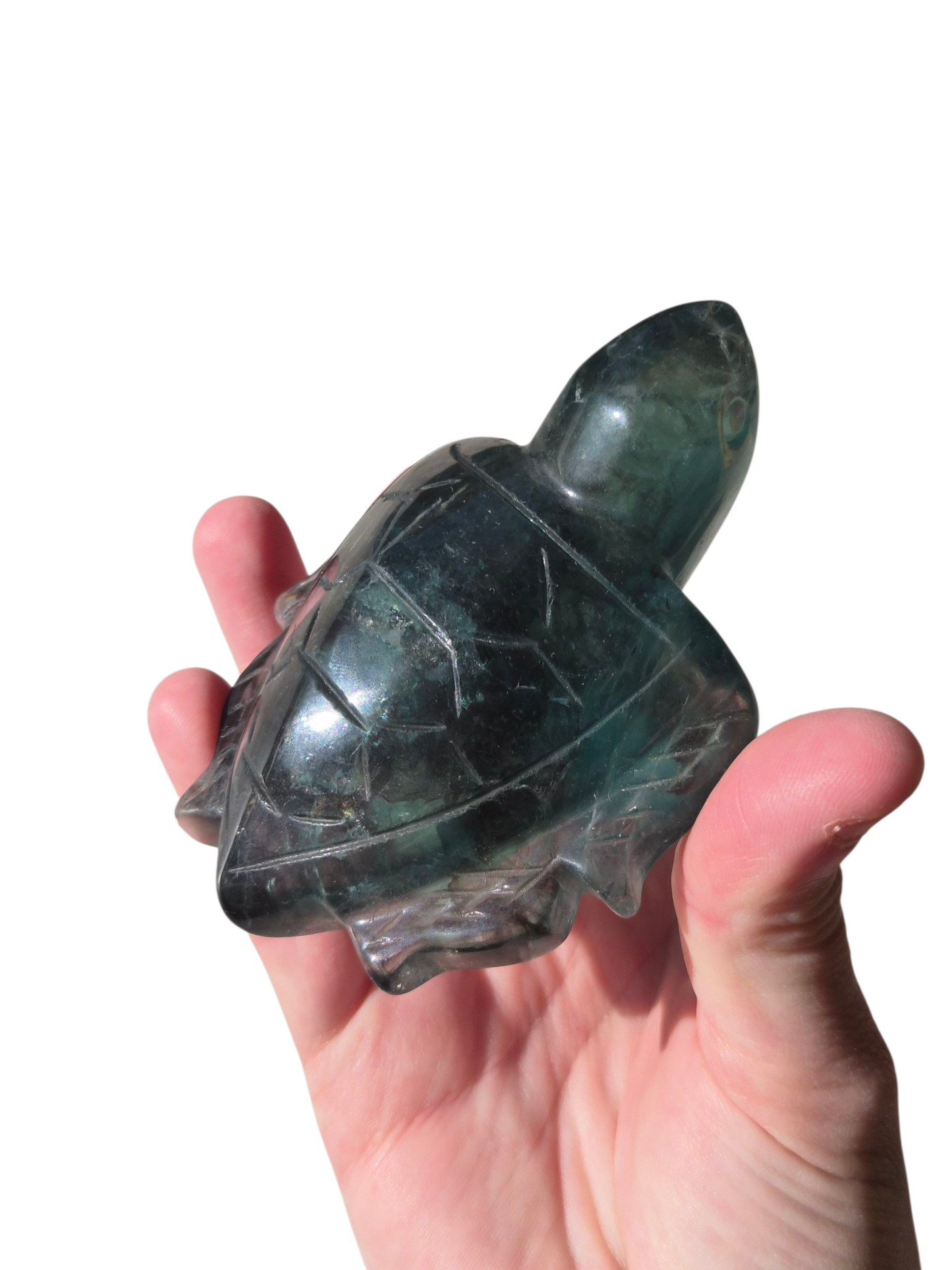 Fluorite Turtle (Green)