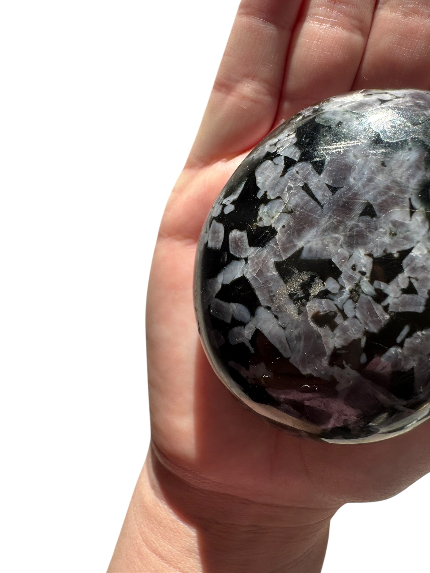 Indigo Gabbro Palmstone