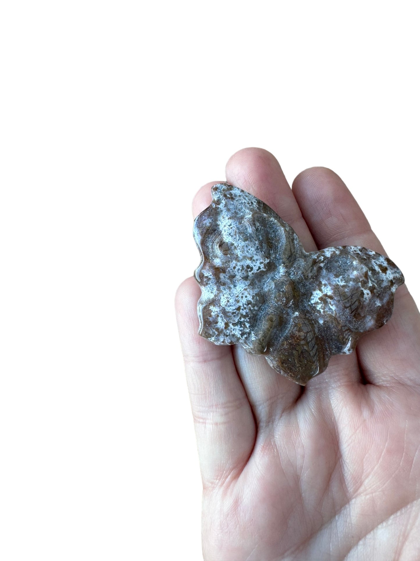 Ocean Jasper Butterfly