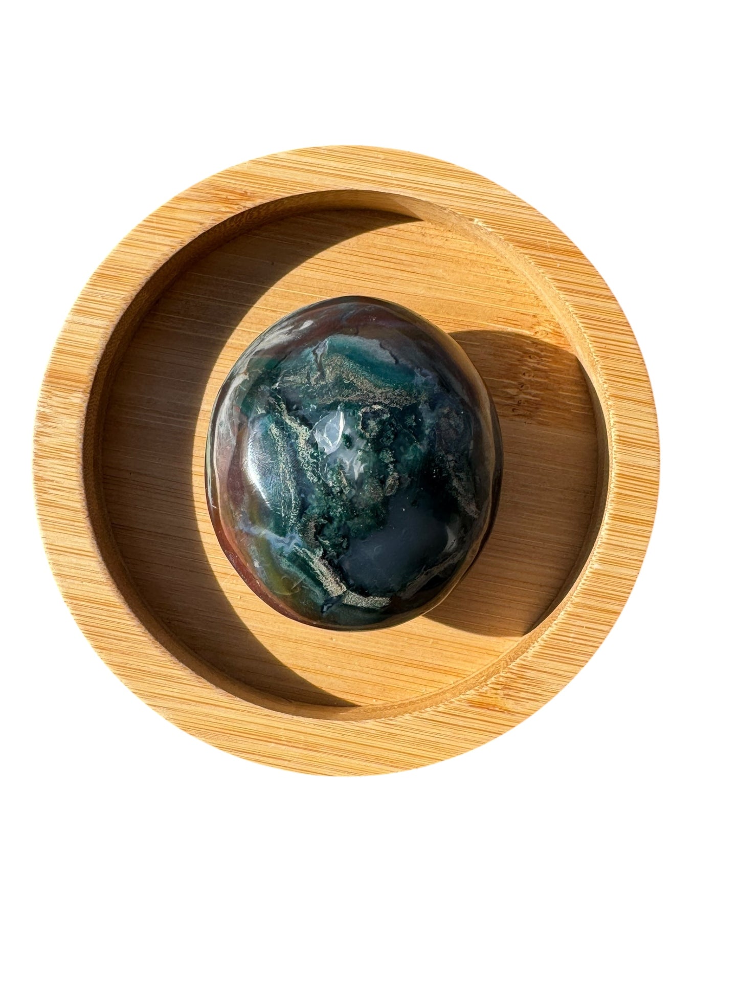 Ocean Jasper Palmstone (204)