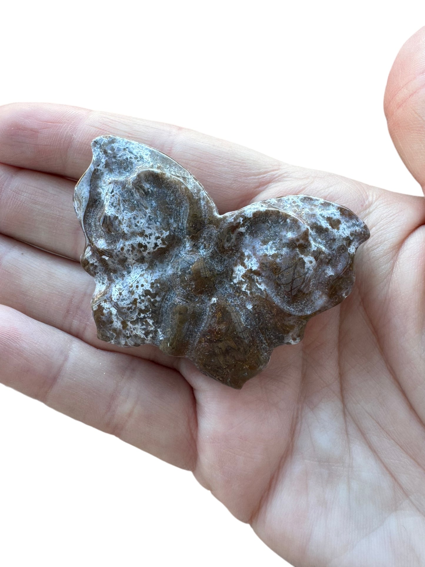 Ocean Jasper Butterfly