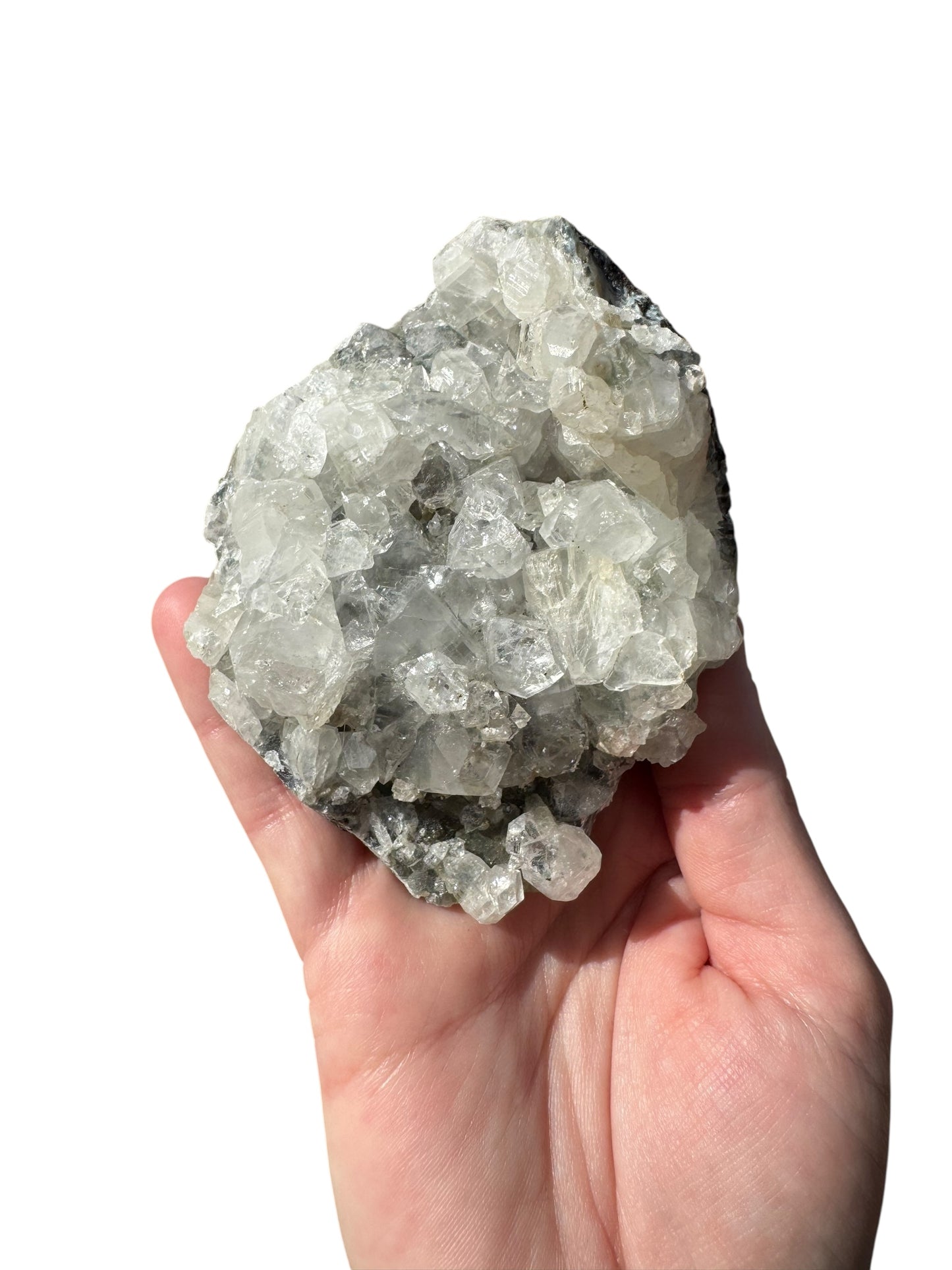 Apophyllite Cluster