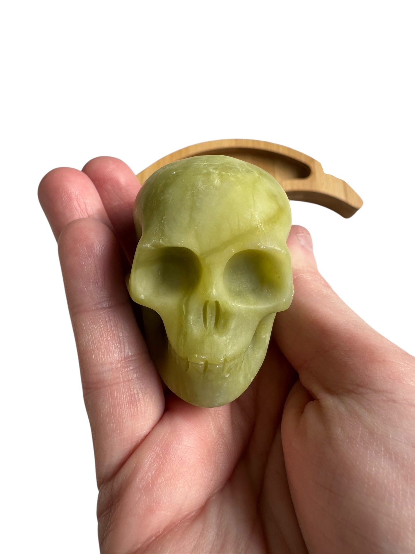 Skulls Assorted