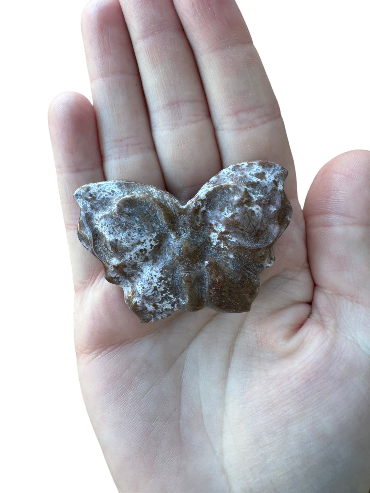Ocean Jasper Butterfly