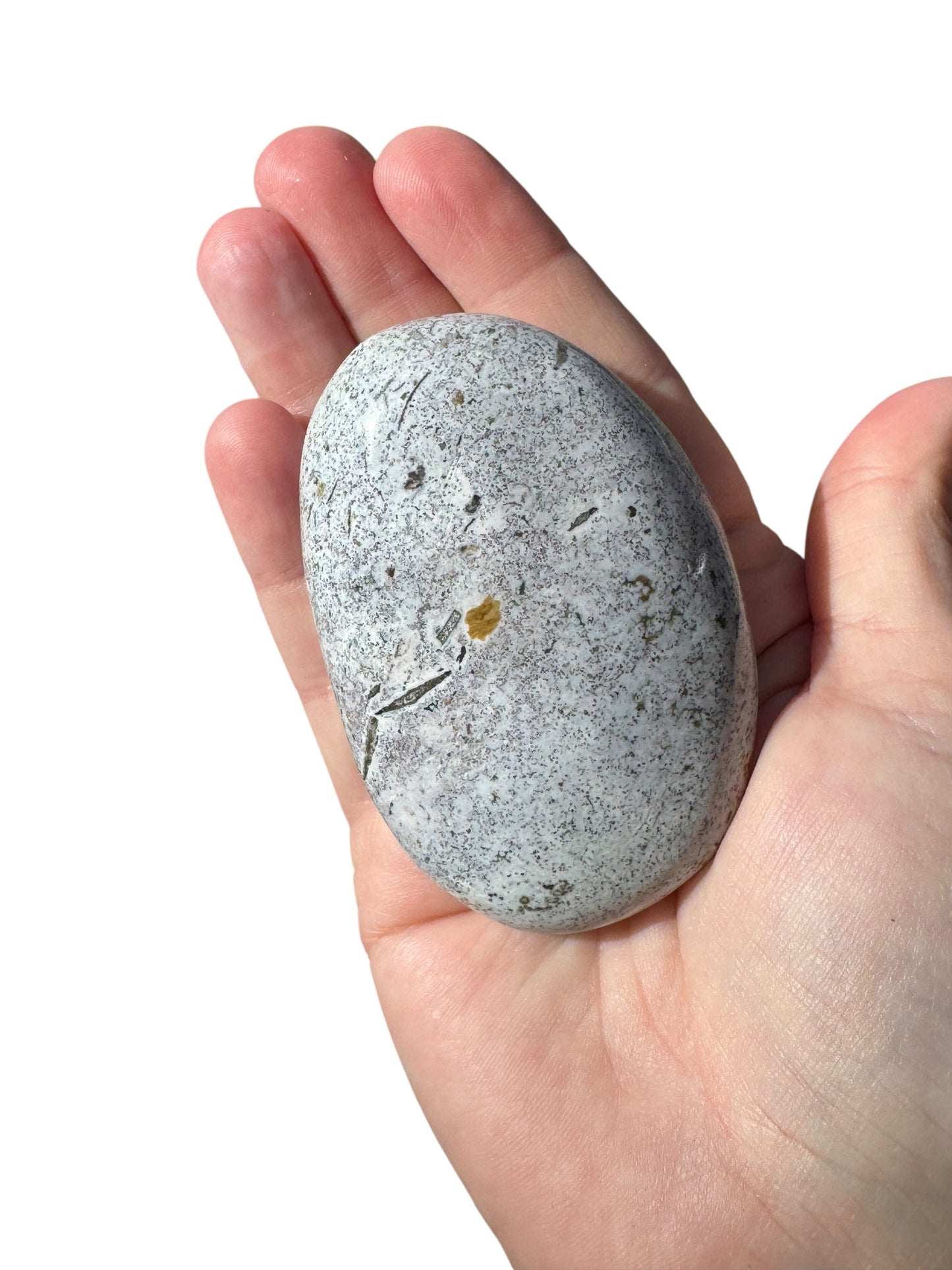 Ocean Jasper Palmstone (200)