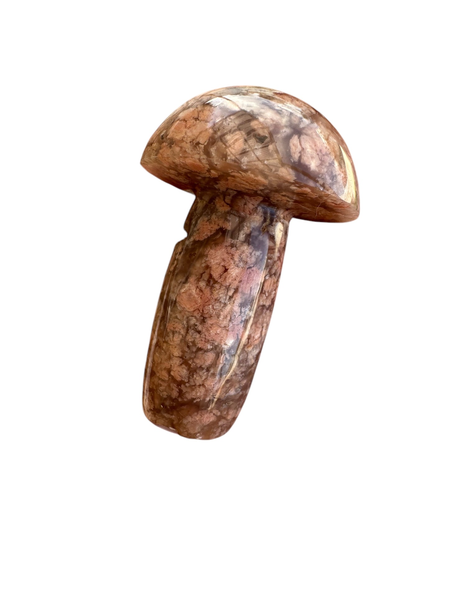 Flower Agate Mushroom