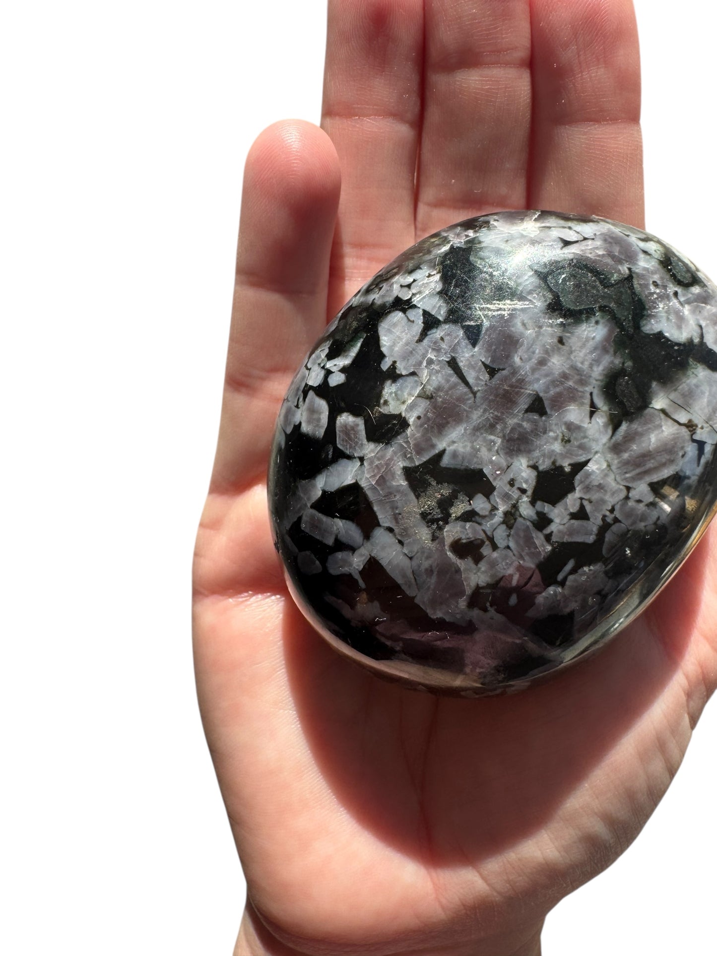 Indigo Gabbro Palmstone