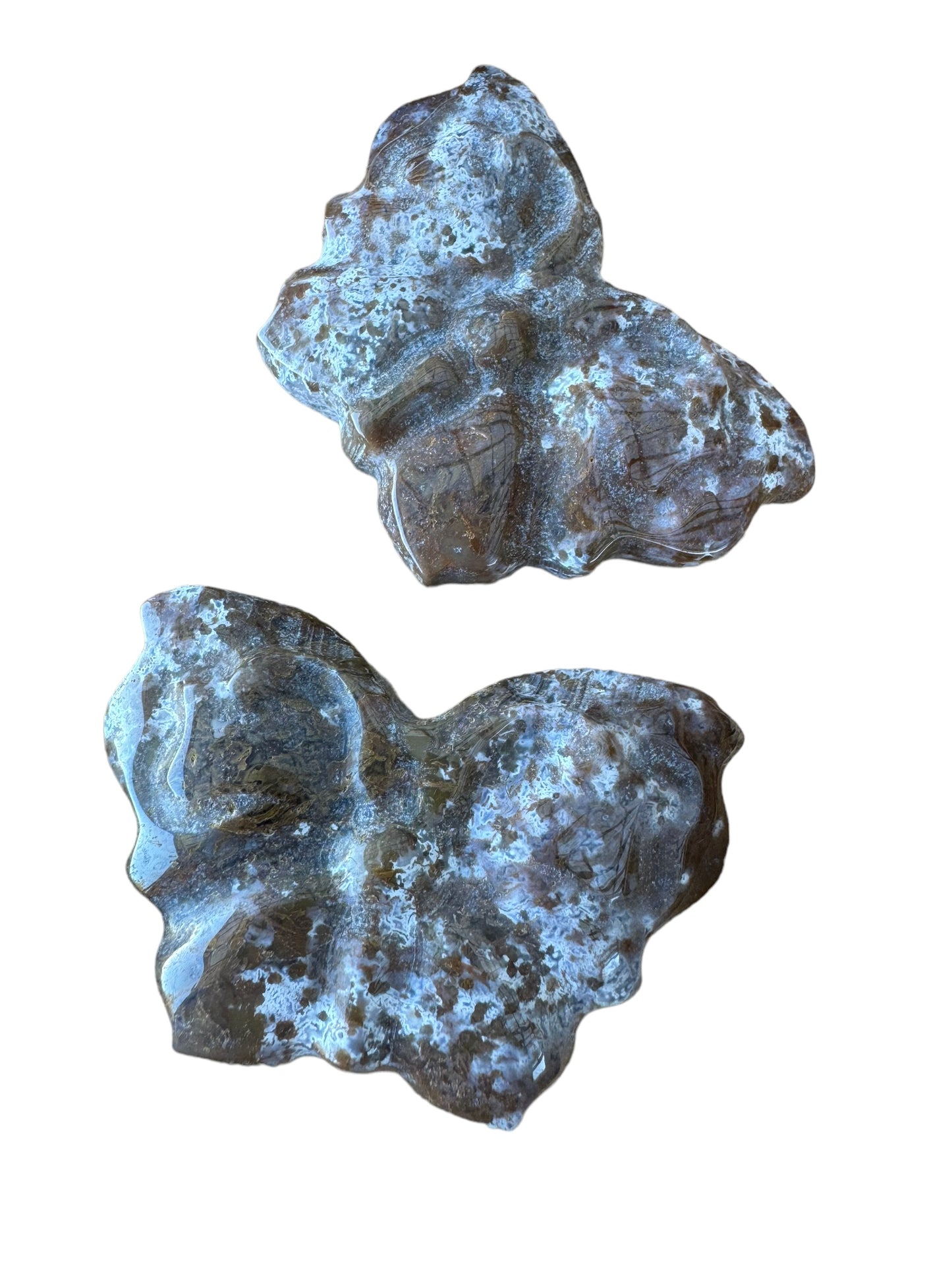 Ocean Jasper Butterfly