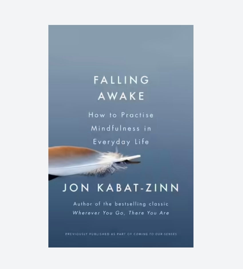 Falling Awake - Book