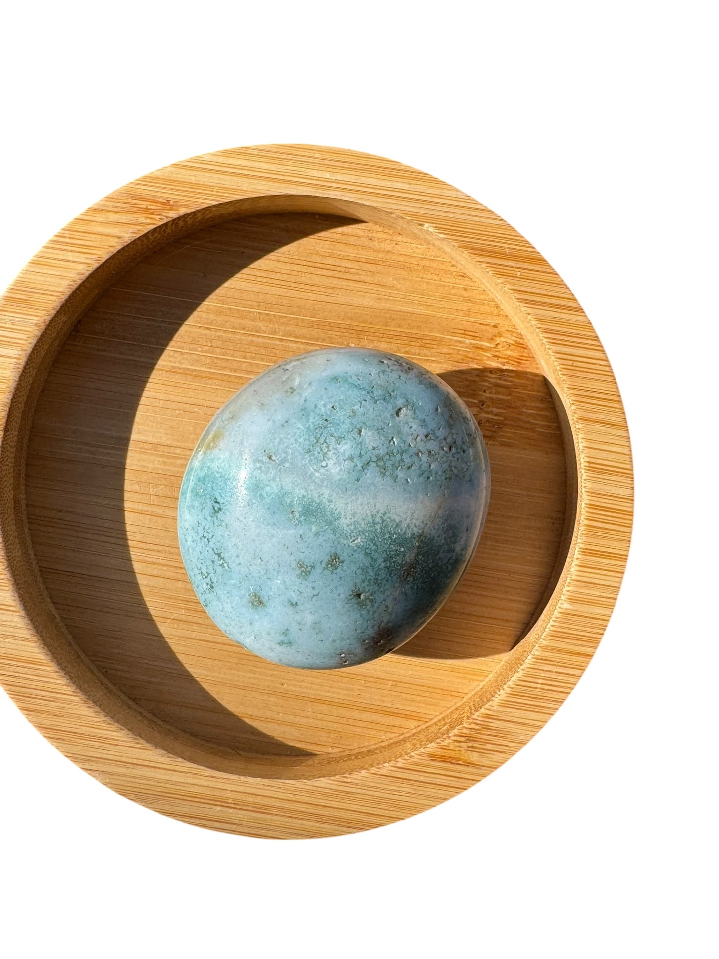 Ocean Jasper Palmstone (198)