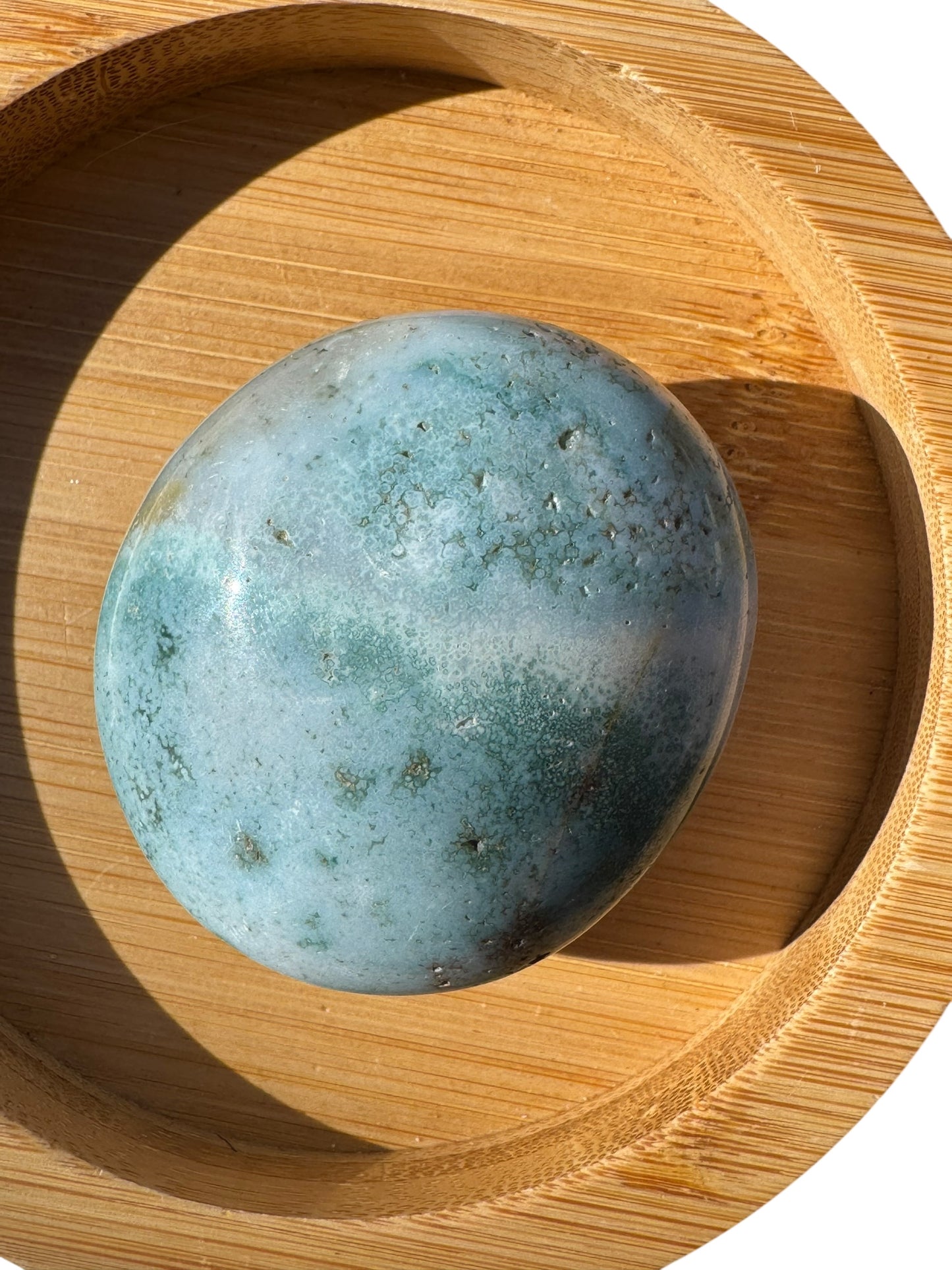 Ocean Jasper Palmstone (198)