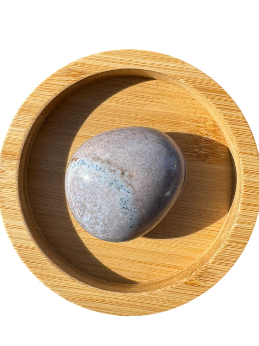 Ocean Jasper Palmstone (202)