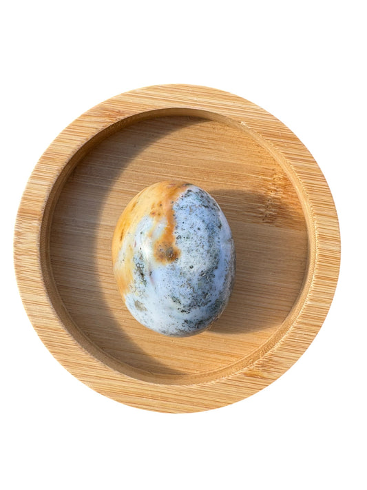 Ocean Jasper Palmstone (199)