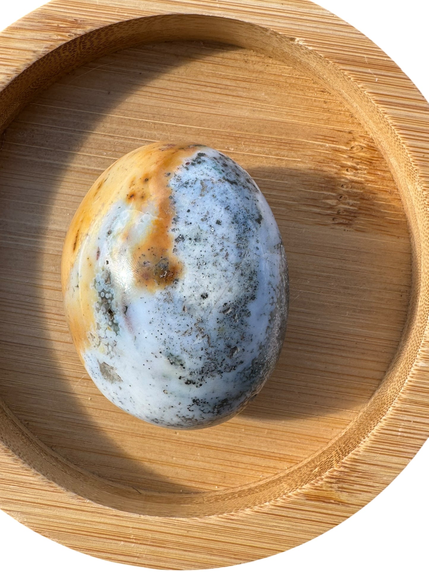 Ocean Jasper Palmstone (199)