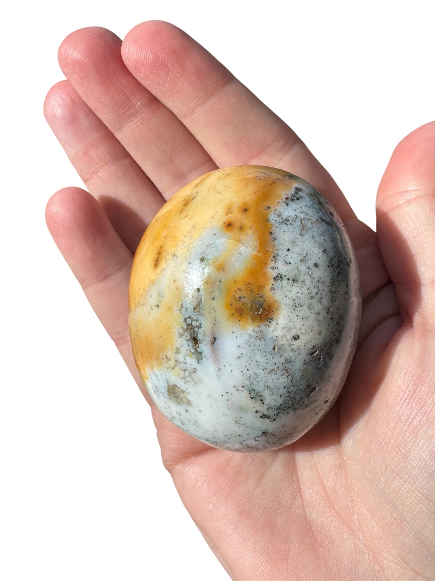 Ocean Jasper Palmstone (199)