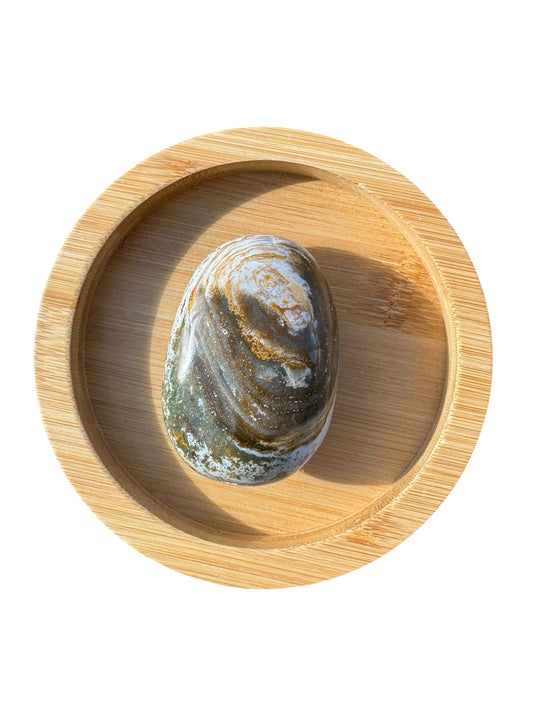 Ocean Jasper Palmstone (201)