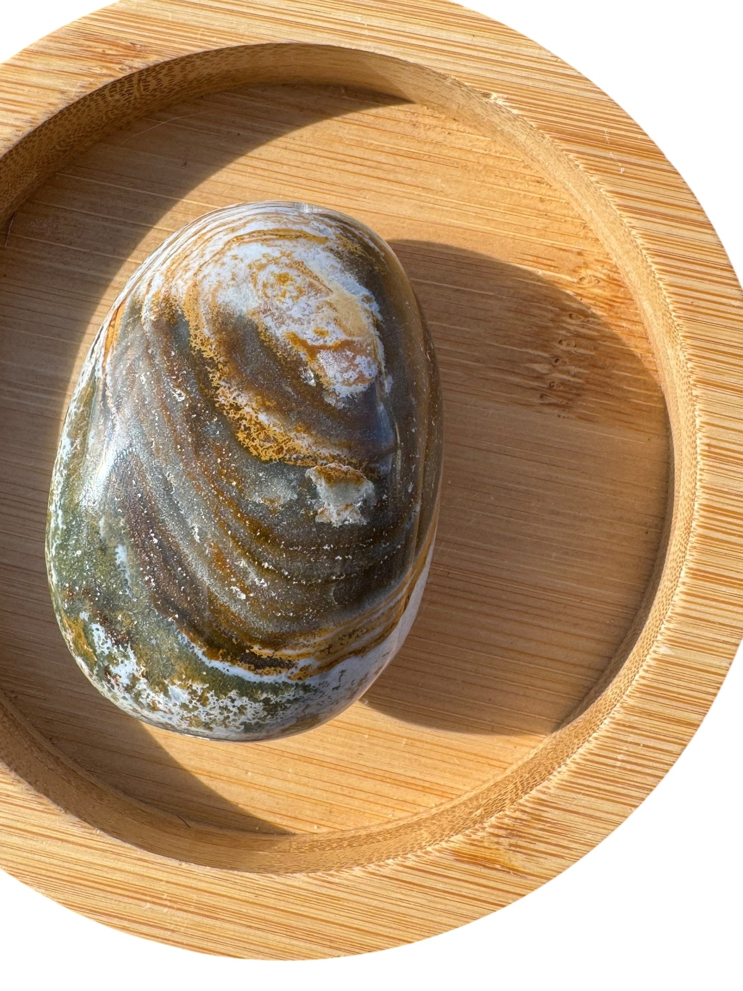 Ocean Jasper Palmstone (201)
