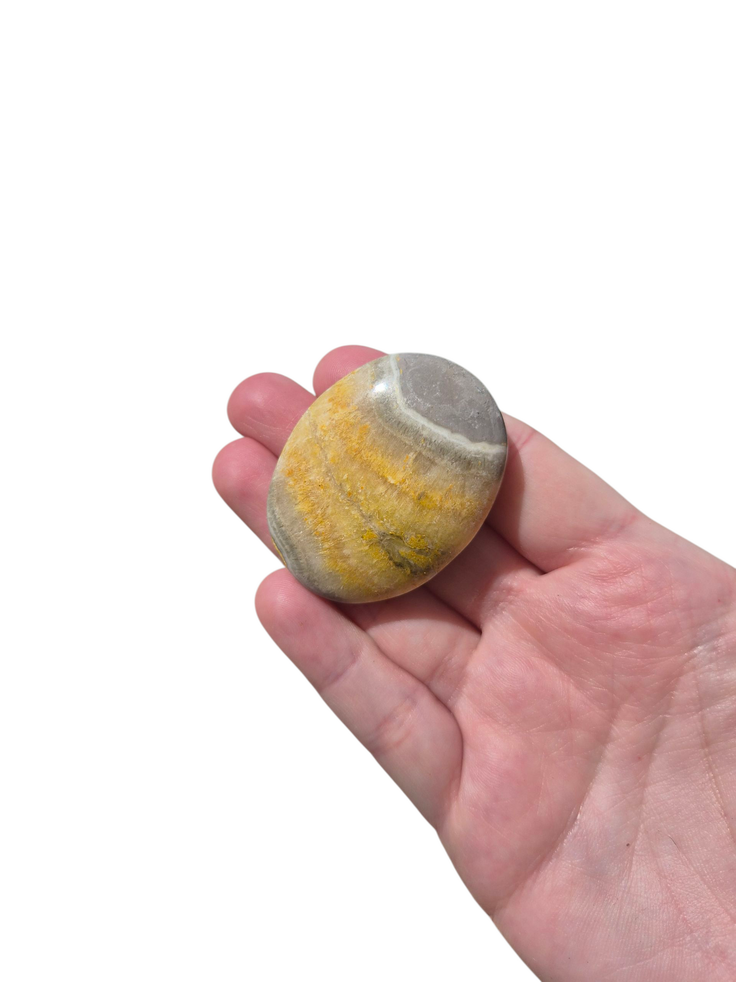 Bumblebee Jasper Palmstone