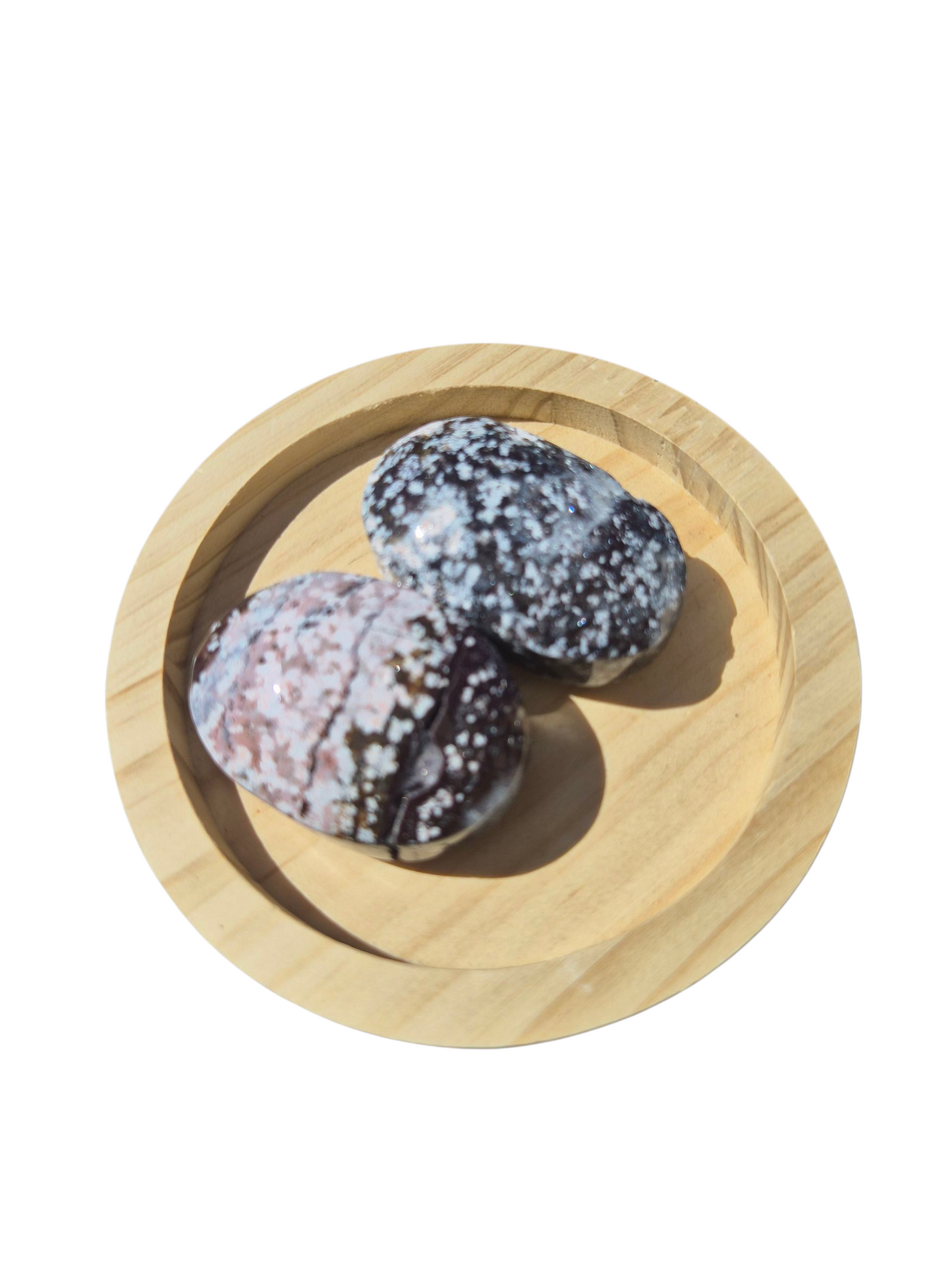 Ocean Jasper Palmstone