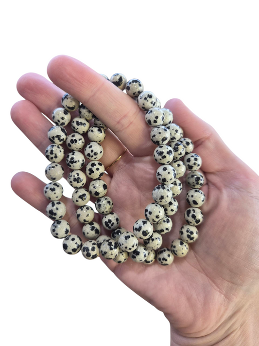 Dalmatian Jasper Bracelet