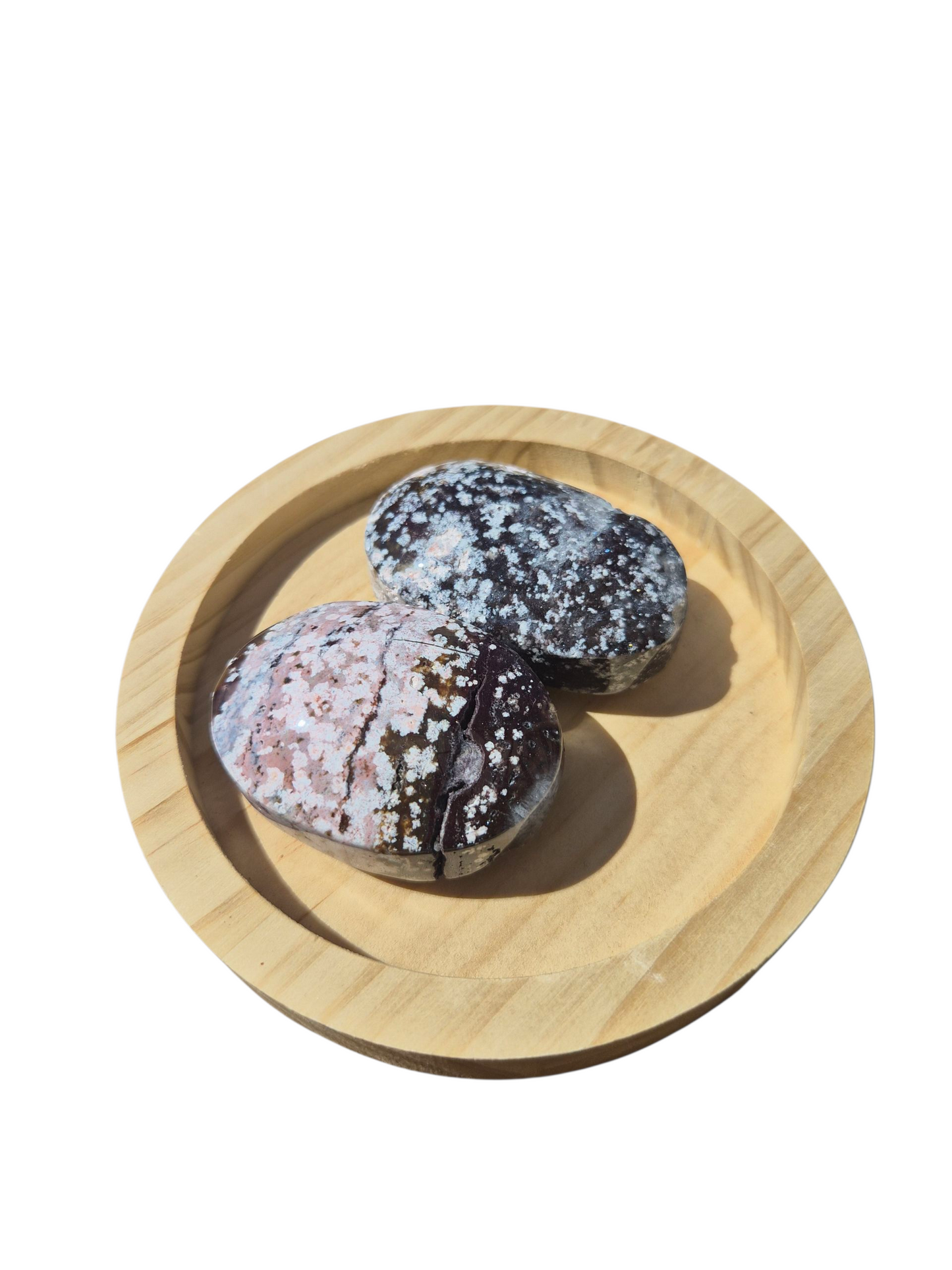 Ocean Jasper Palmstone