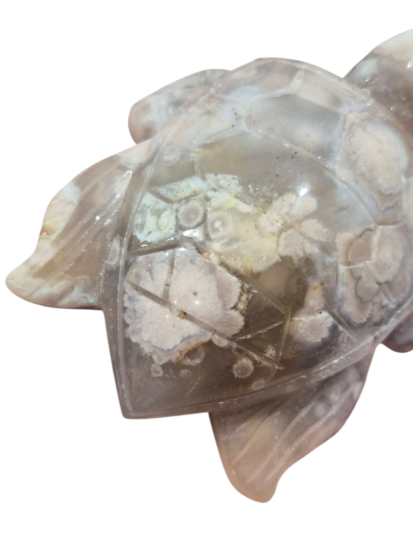 Flower Agate Turtle Carving 208