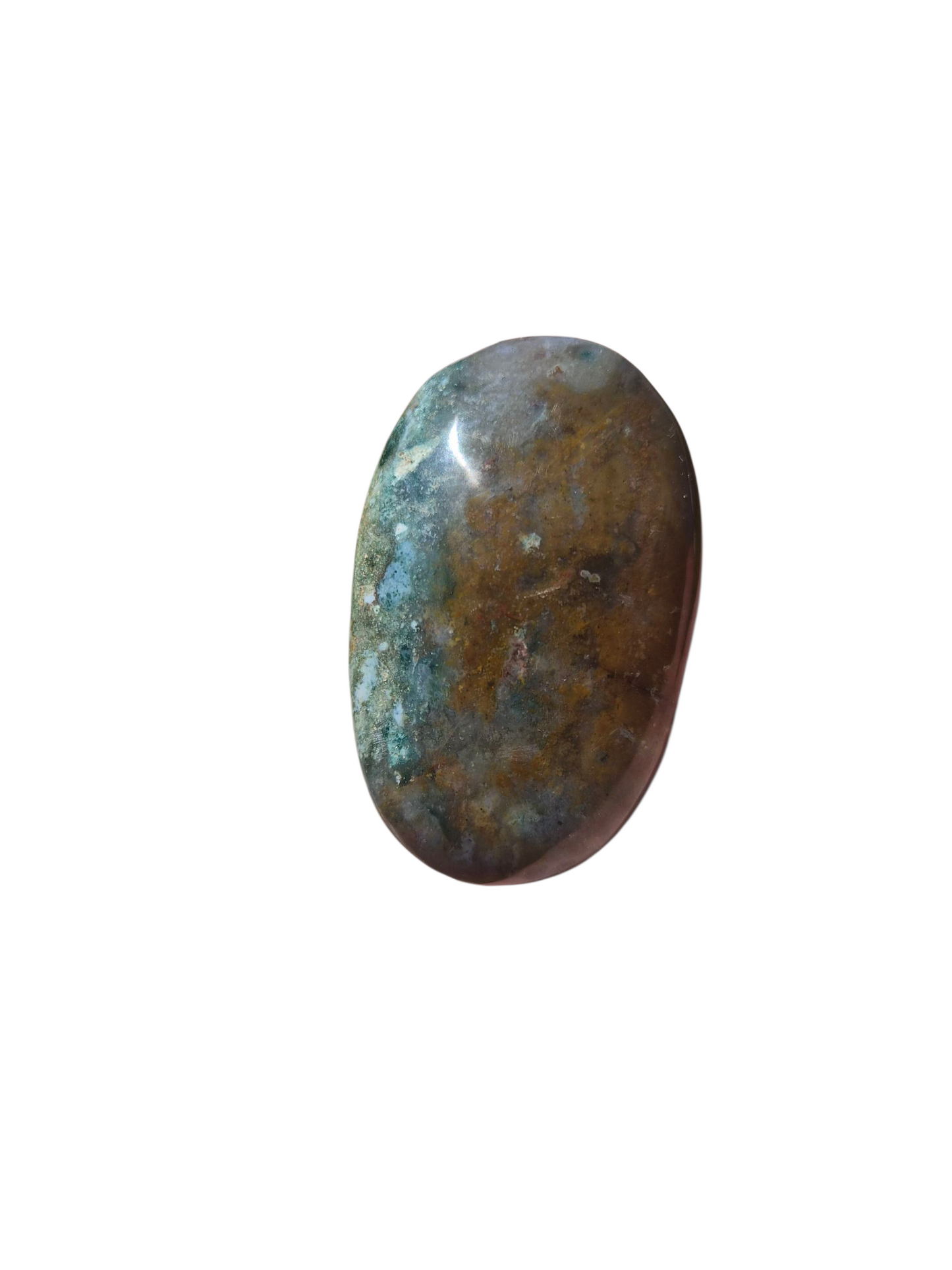 Ocean Jasper Palmstone