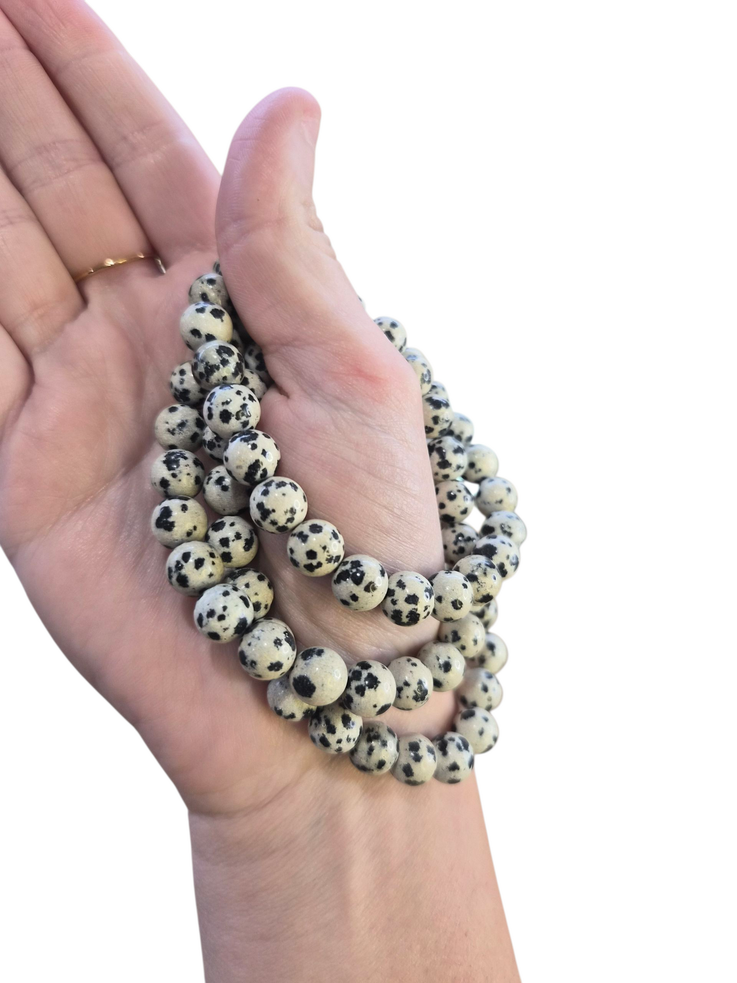 Dalmatian Jasper Bracelet