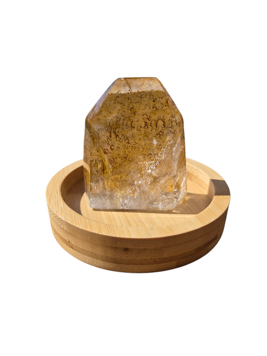 Included quartz 298
