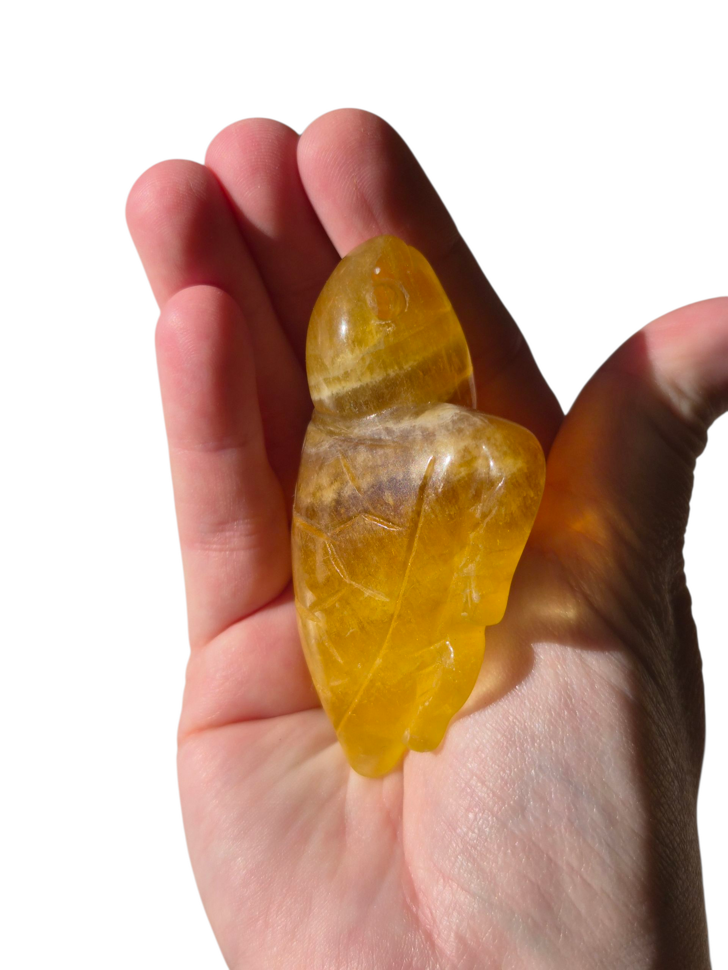 Fluorite Trutle (Yellow)