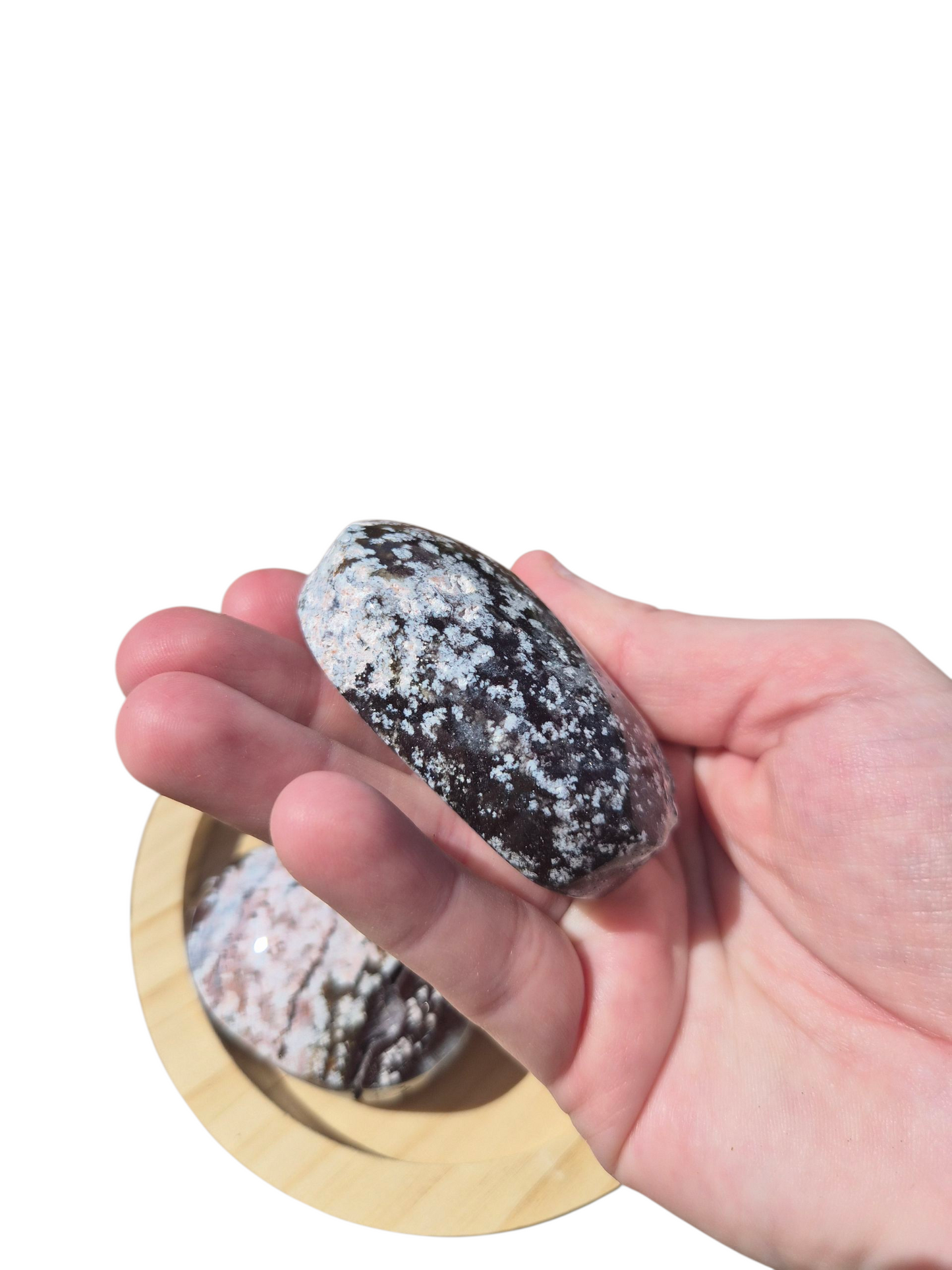 Ocean Jasper Palmstone