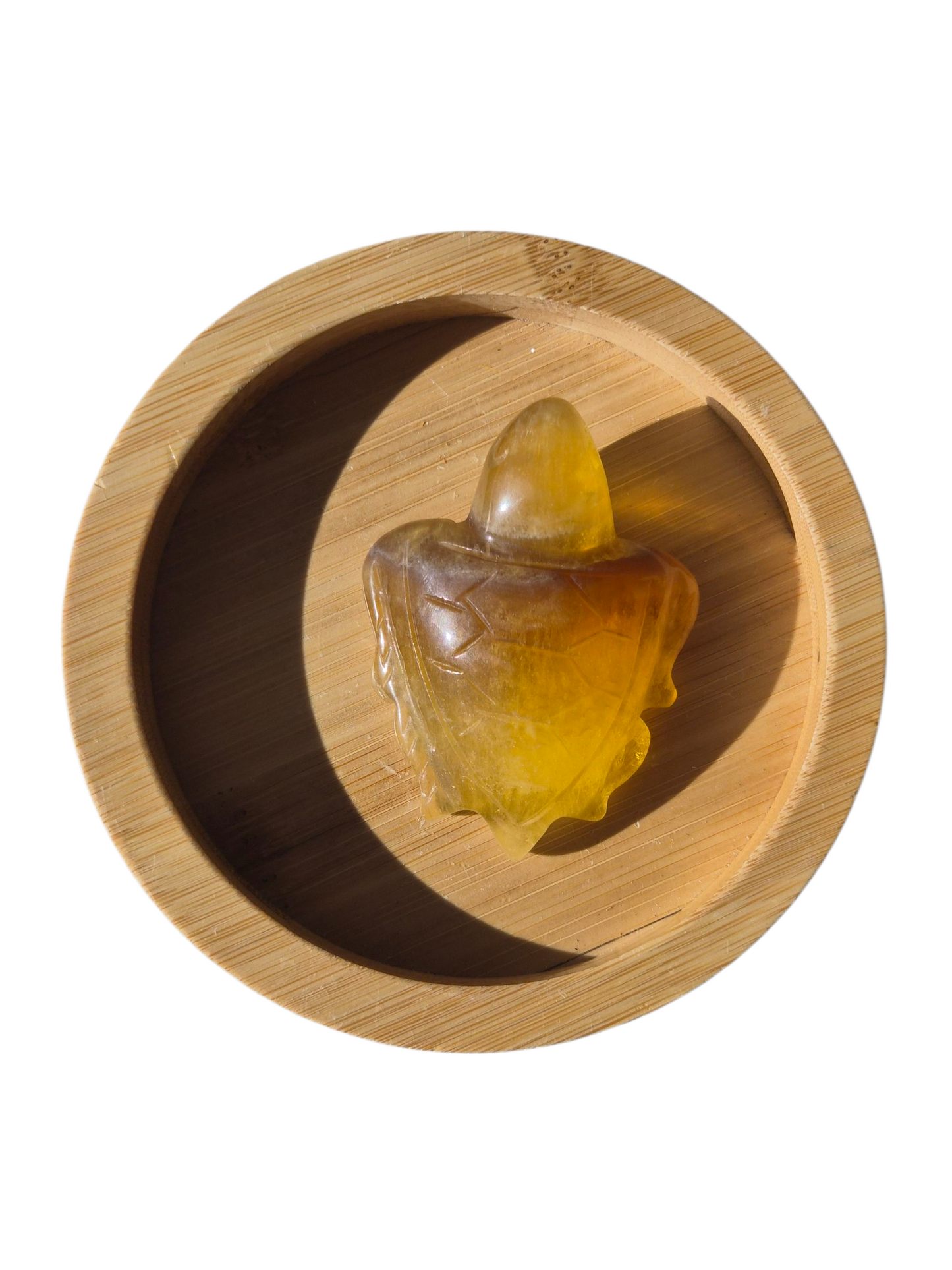 Fluorite Trutle (Yellow)