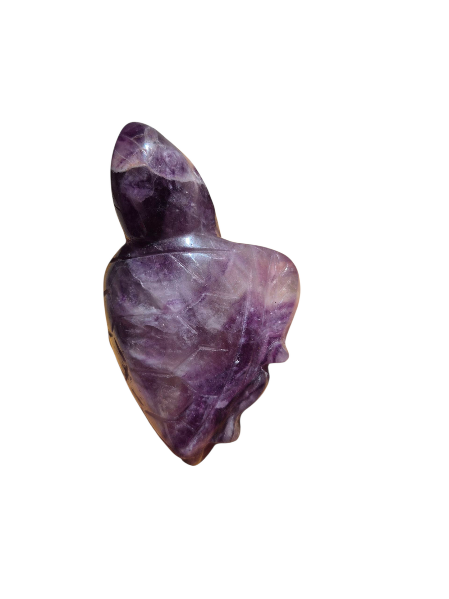 Fluorite Turtle (Purple)