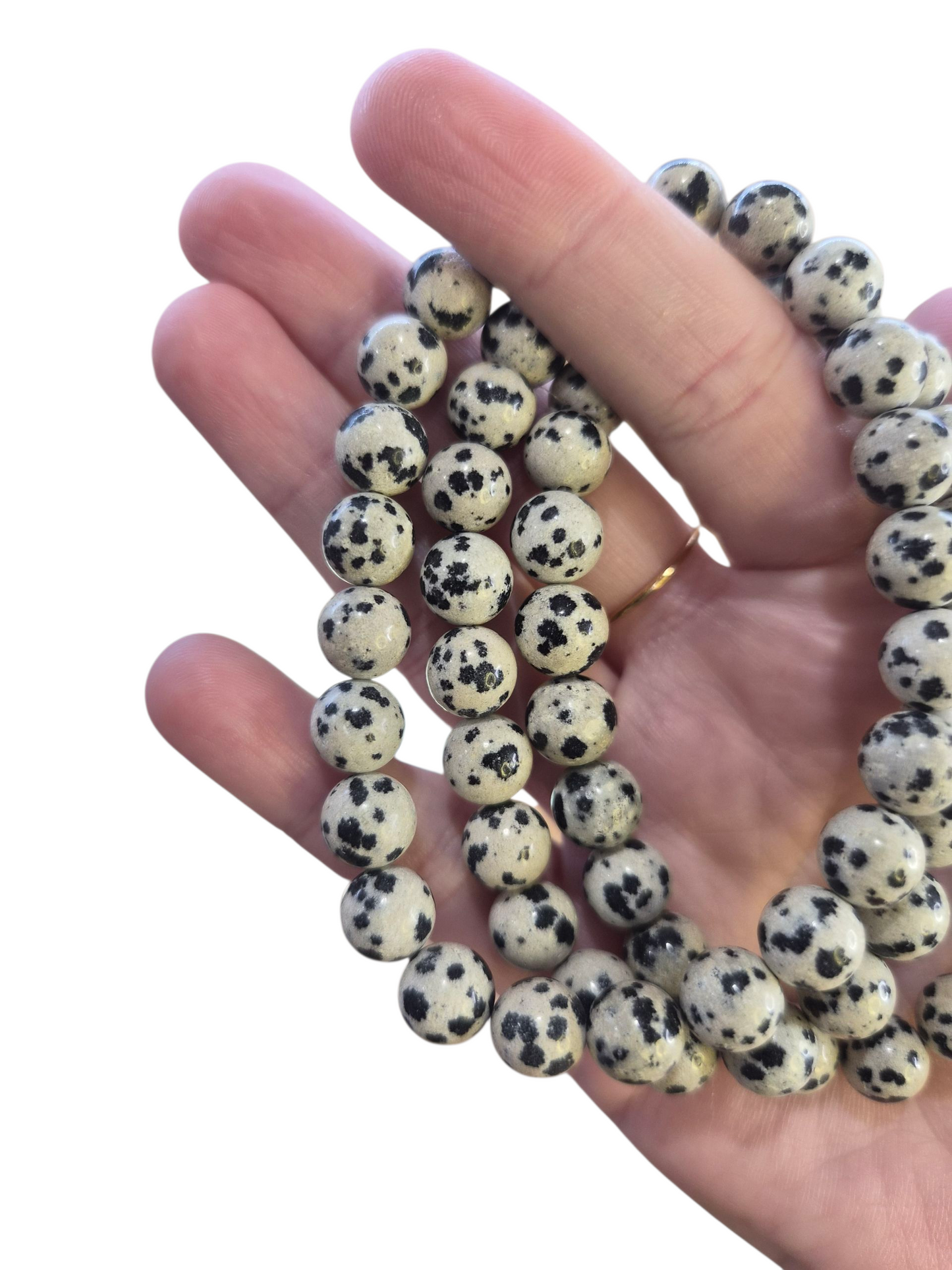 Dalmatian Jasper Bracelet